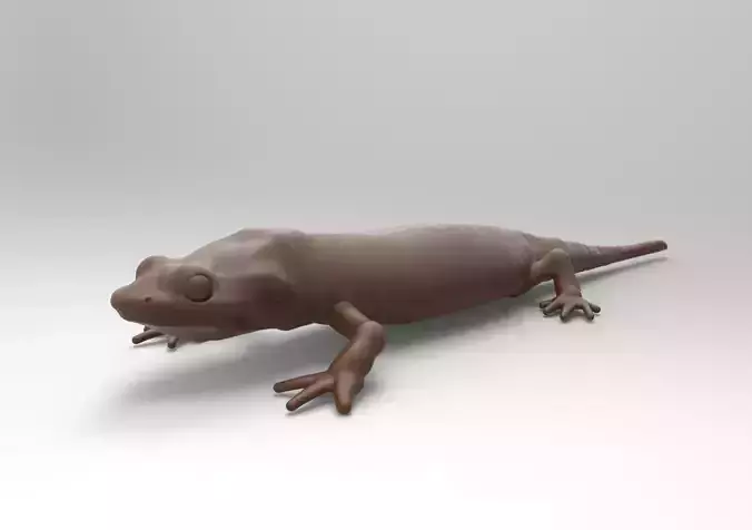 Salamander chocolate gecko