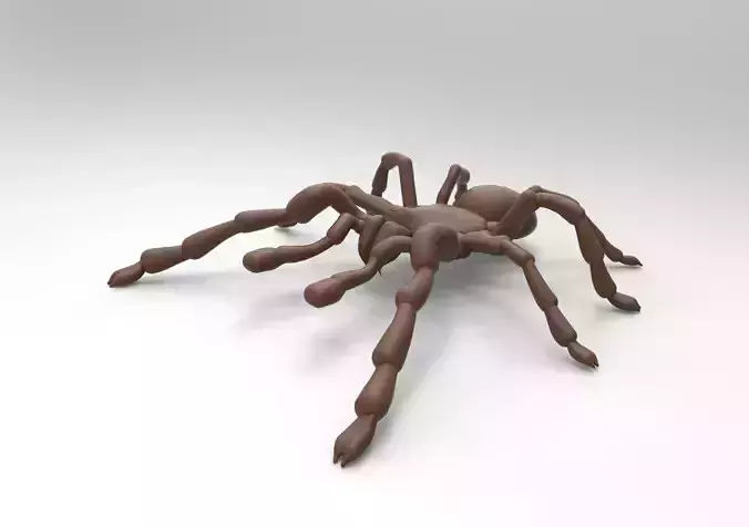 Tarantula spider 3D print model
