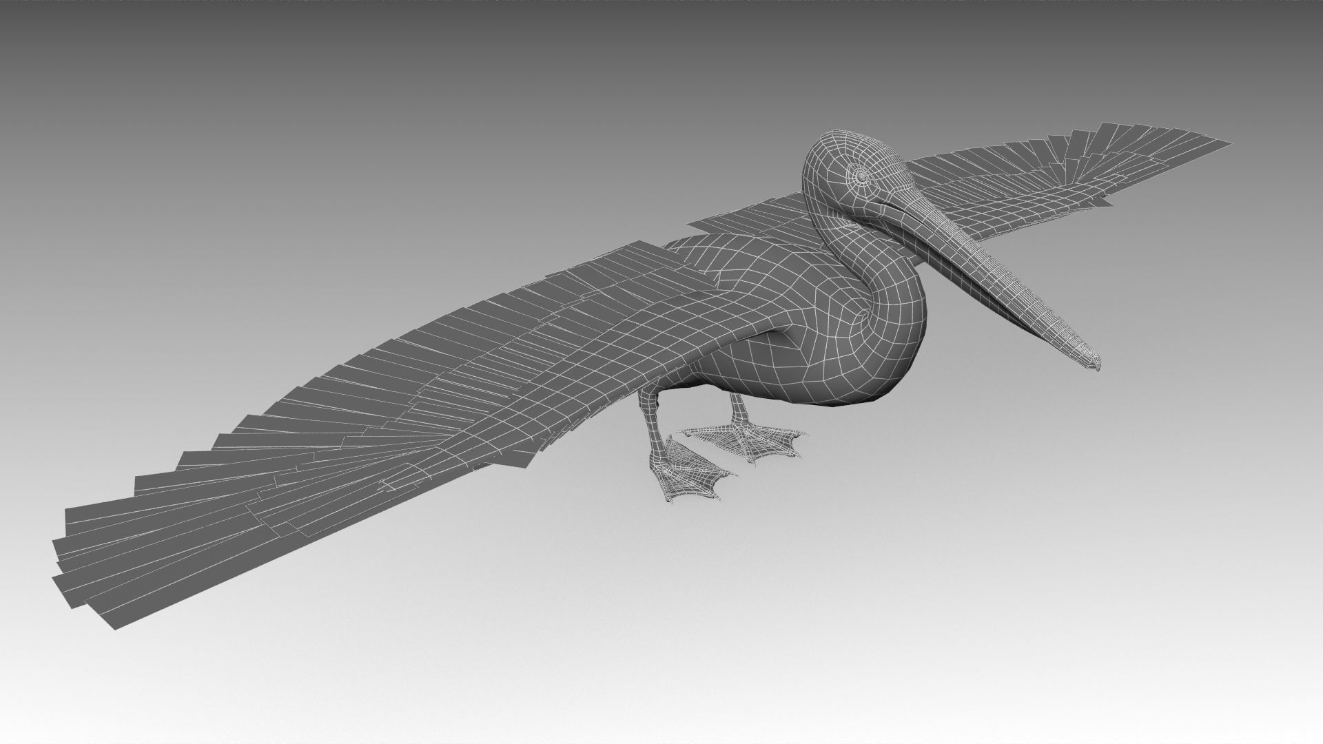 Pelican with beak Low-poly 3D model_13