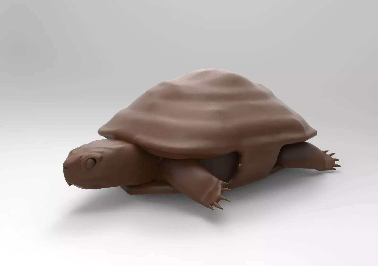 Tortoise chocolate 3D print model