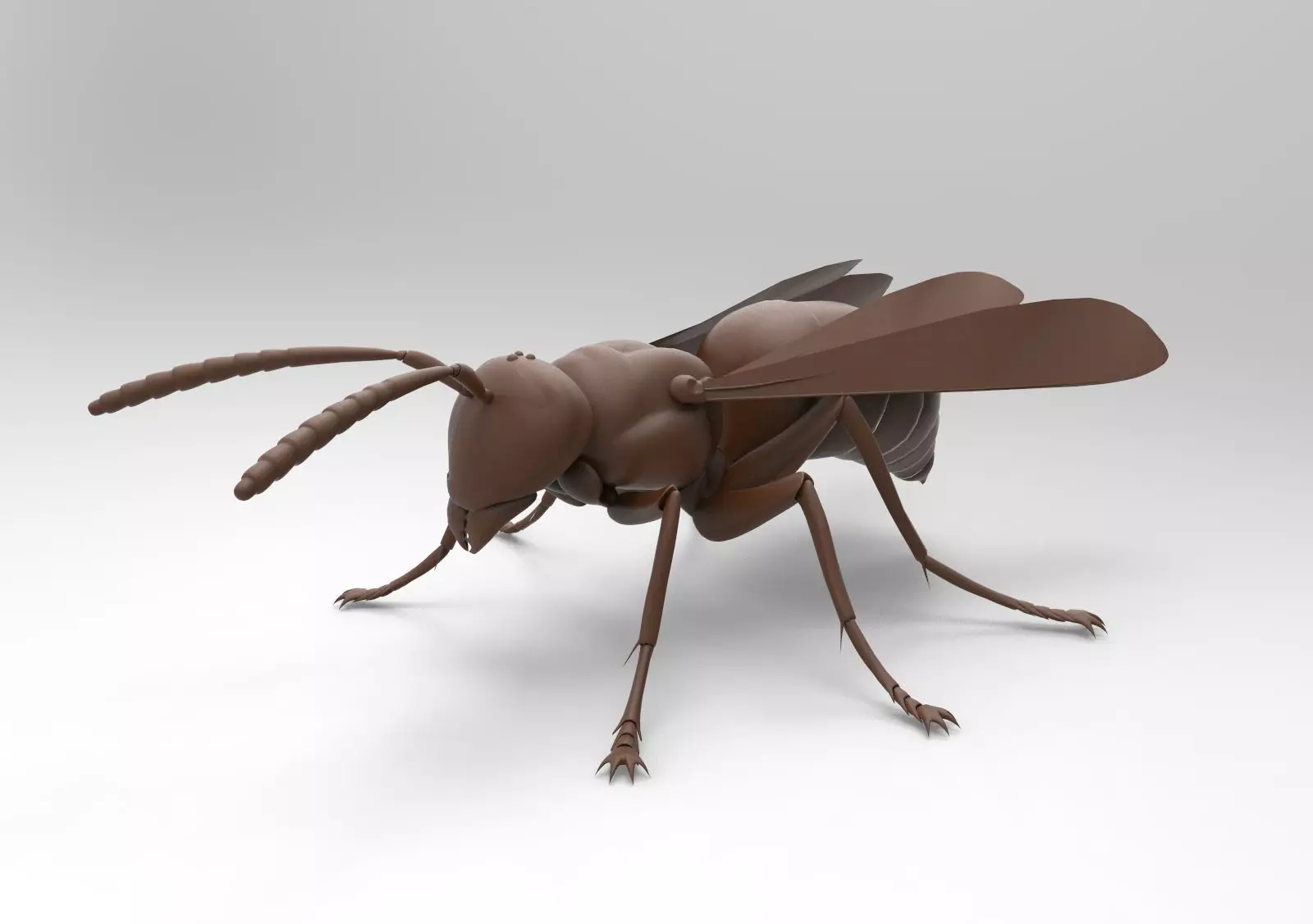 Bee model wasp 3D print model_0