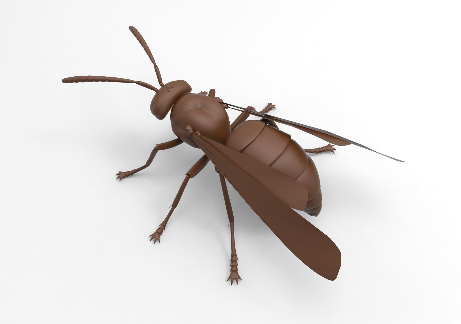 Bee model wasp 3D print model_6