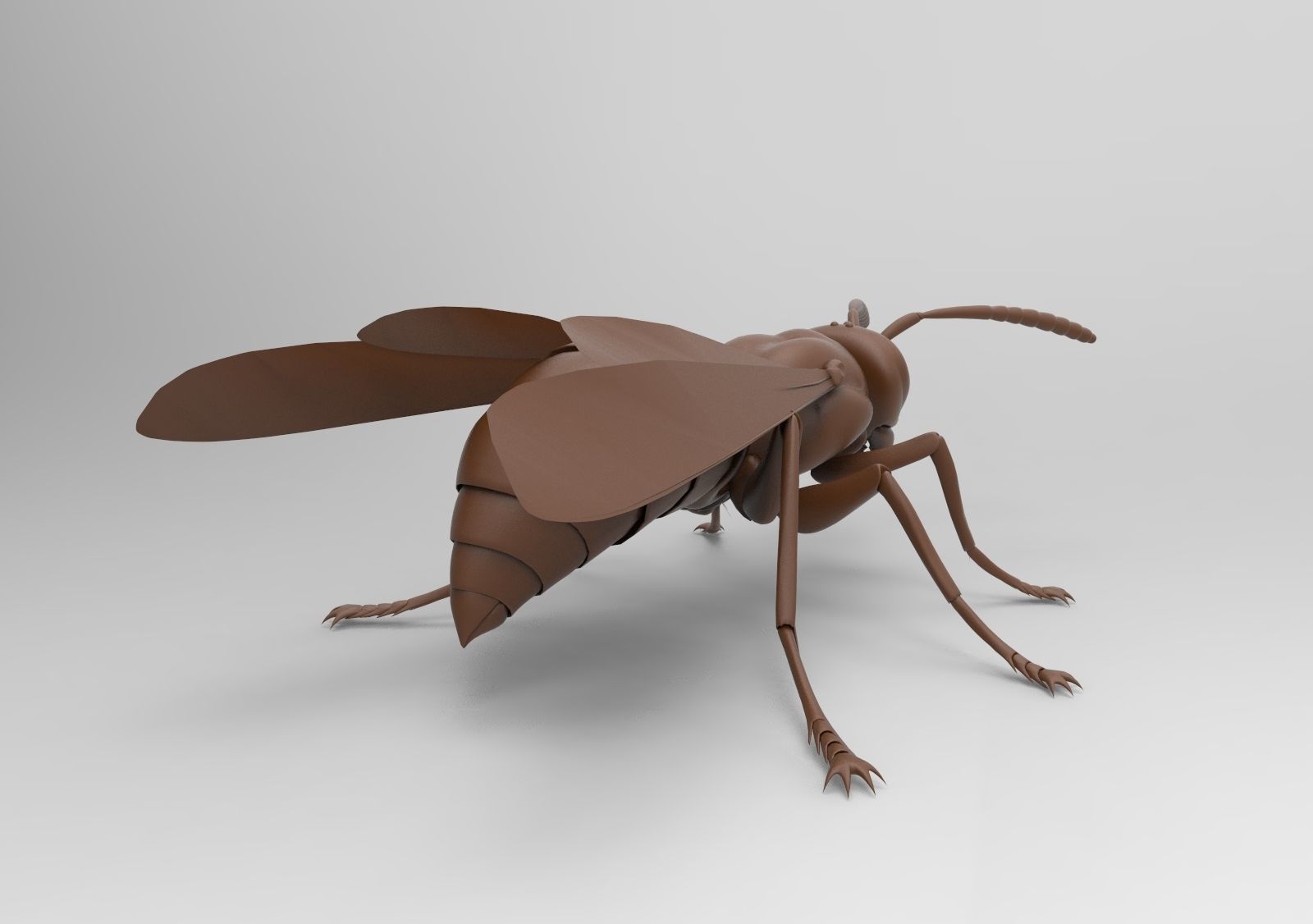 Bee model wasp 3D print model_4