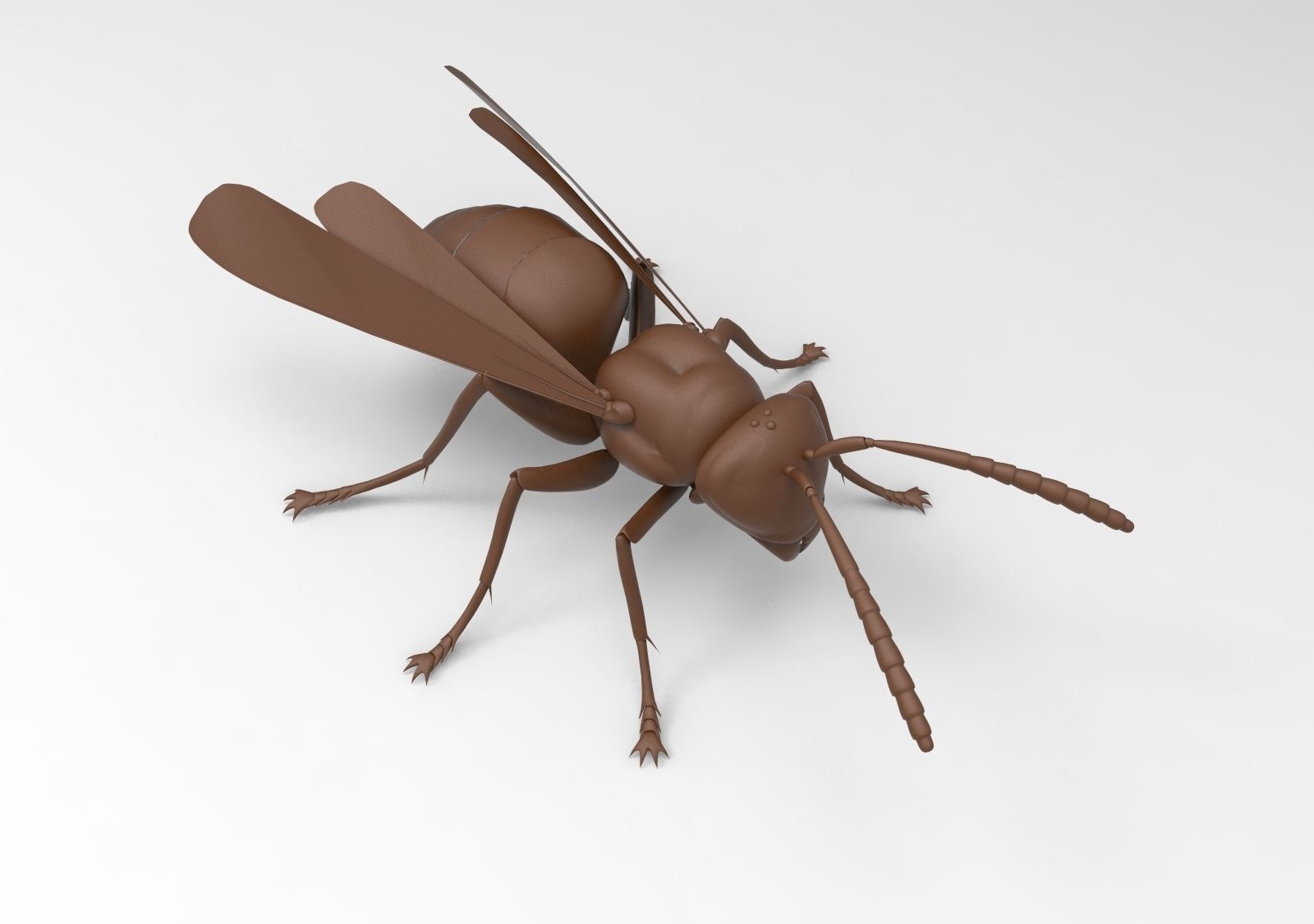 Bee model wasp 3D print model_7