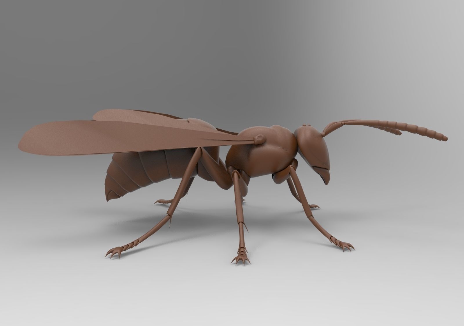 Bee model wasp 3D print model_3
