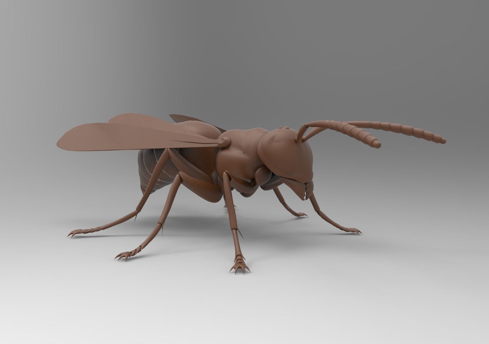 Bee model wasp 3D print model_2