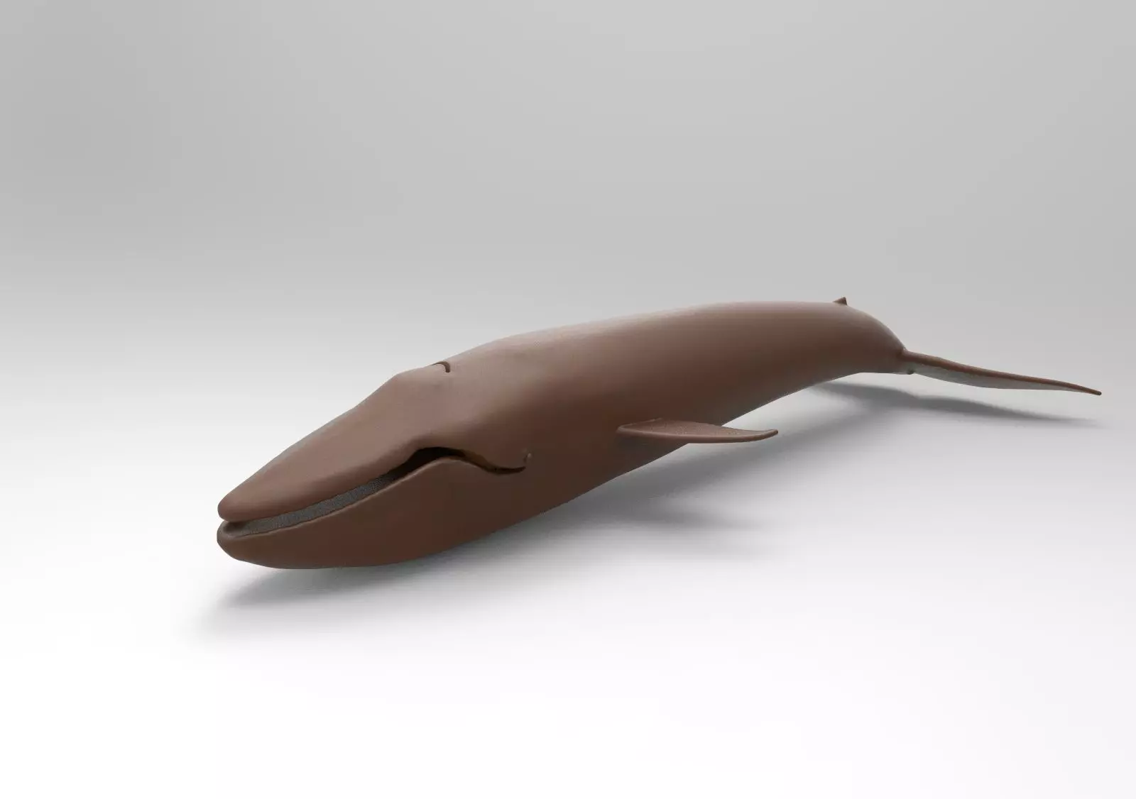 Humpback Whale 3D print model