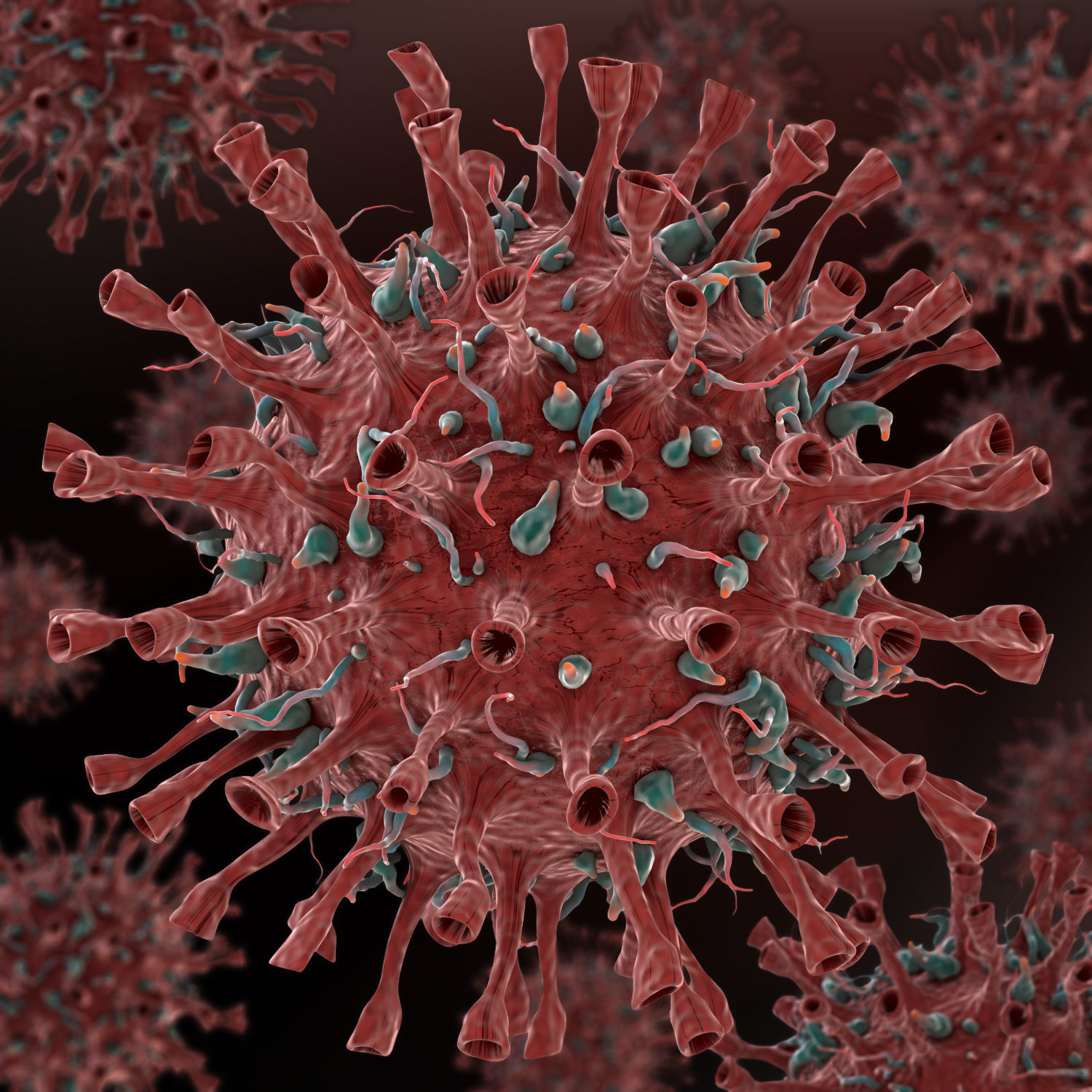 Corona Virus COVID-19 3D model_1