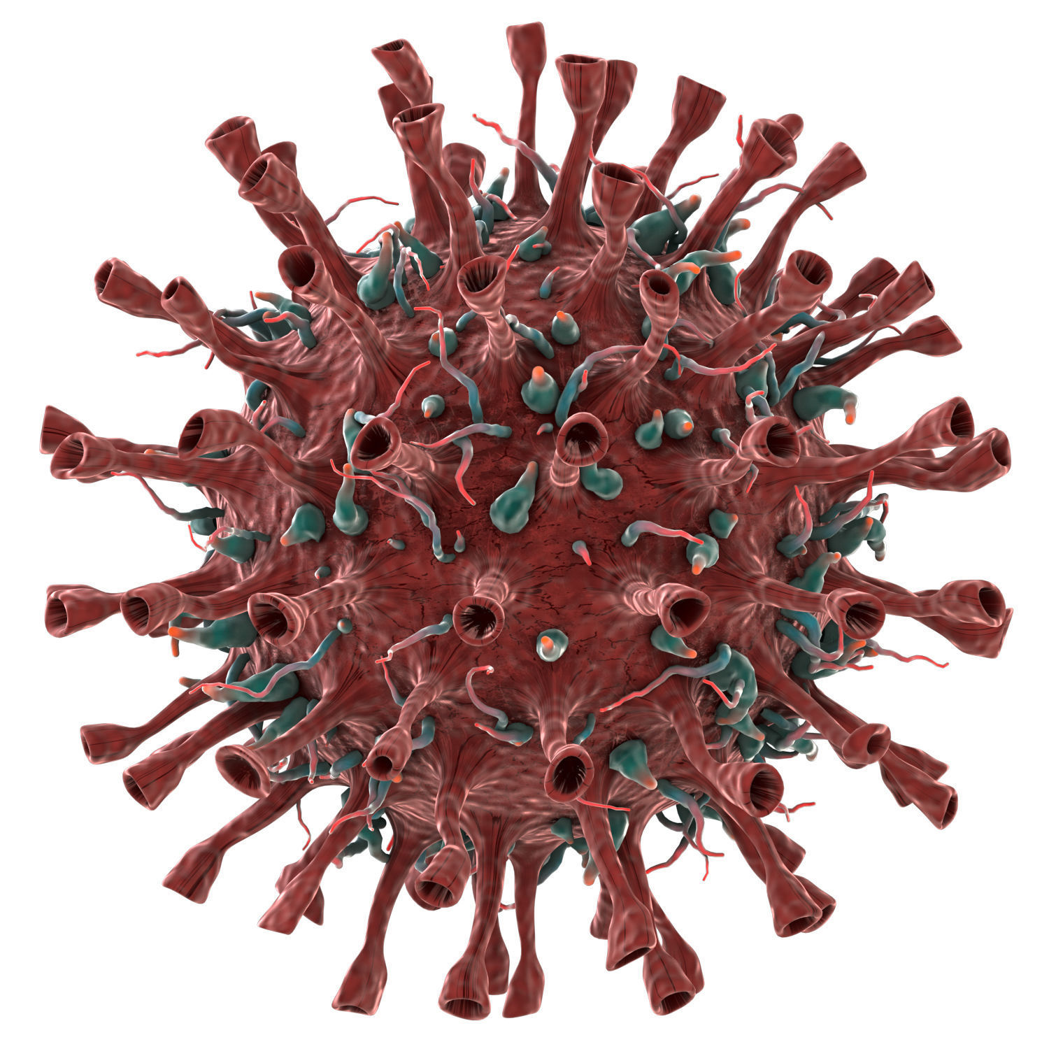 Corona Virus COVID-19 3D model_2