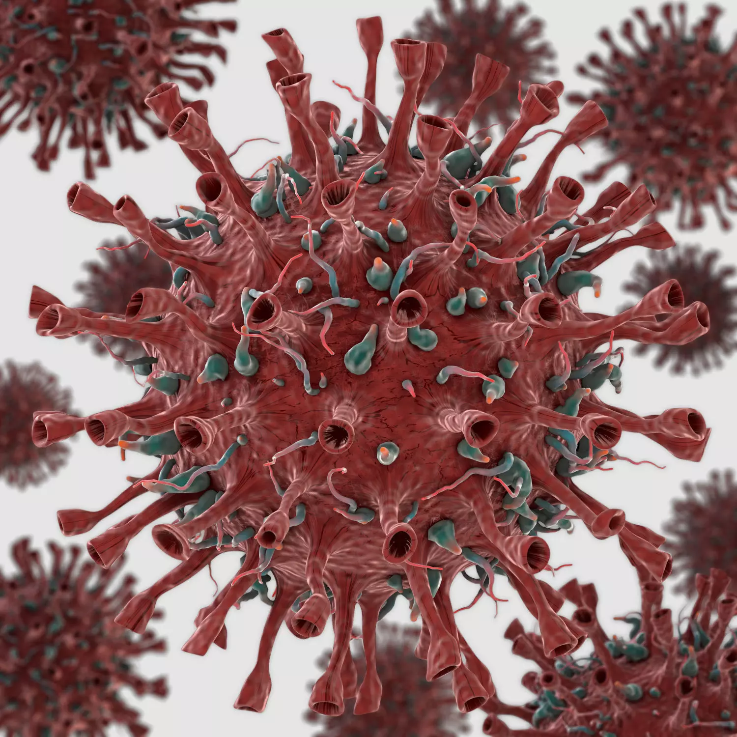Corona Virus COVID-19 3D model_0