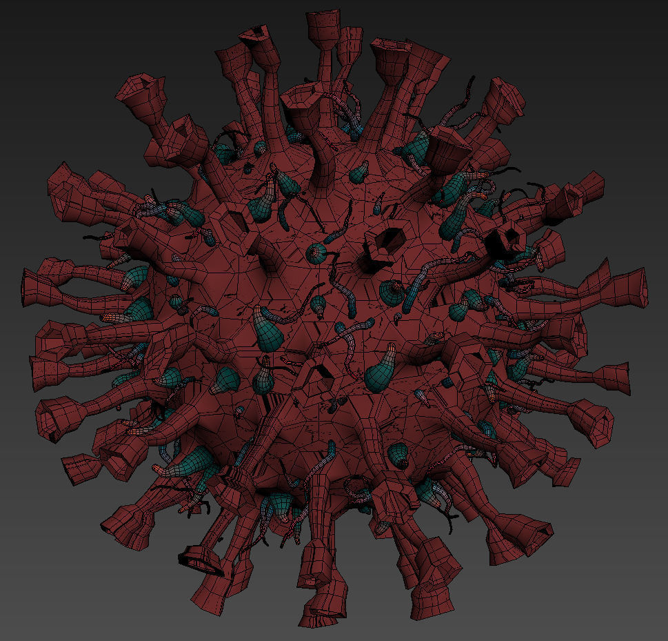 Corona Virus COVID-19 3D model_4