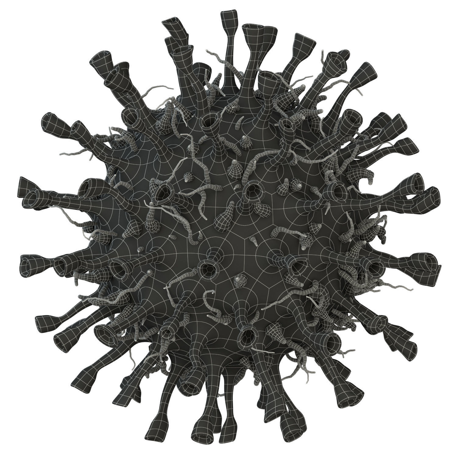Corona Virus COVID-19 3D model_3