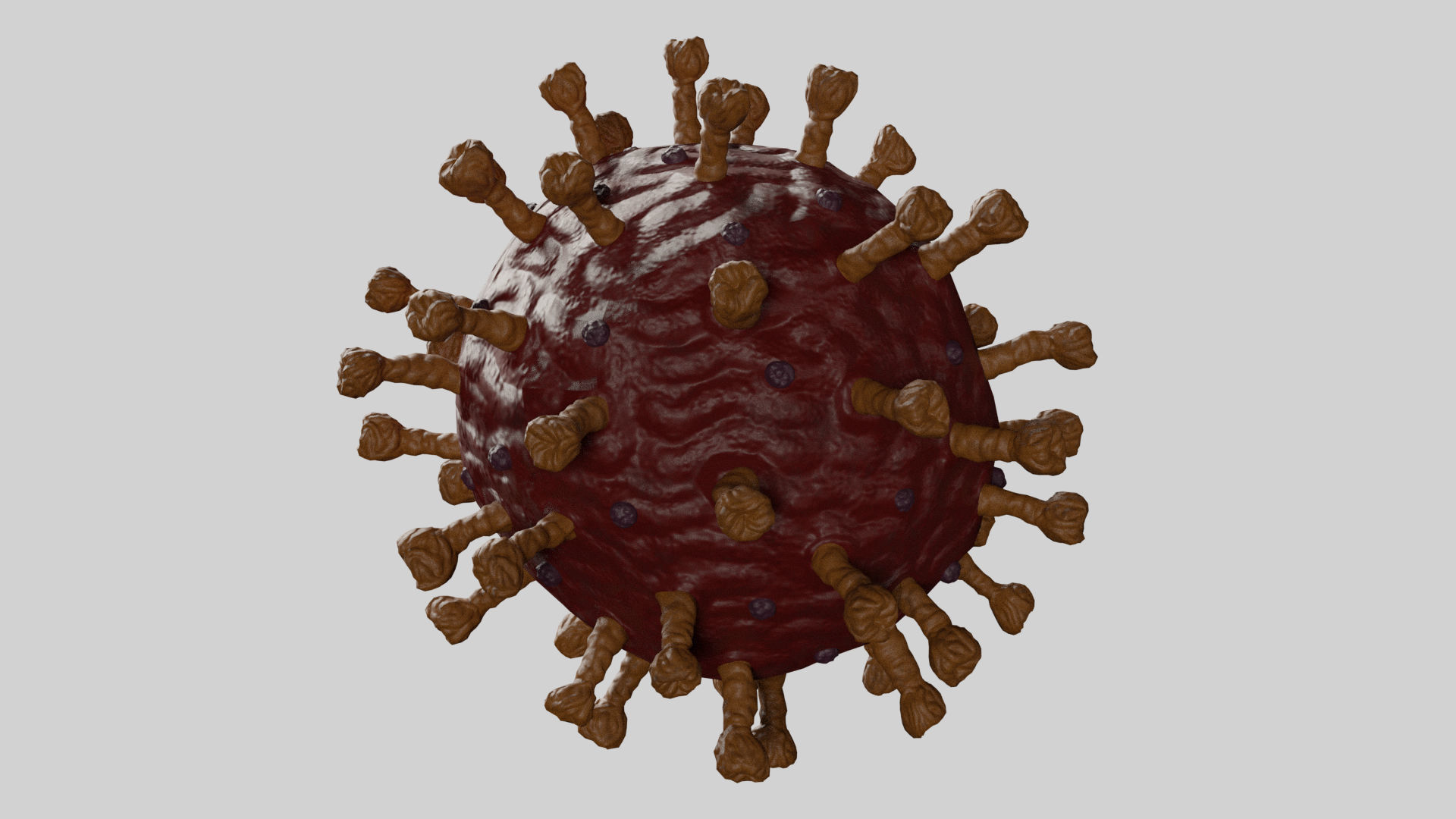 Realistic Corona Virus - Animated - Rigged - PBR Textures Low-poly 3D model_5