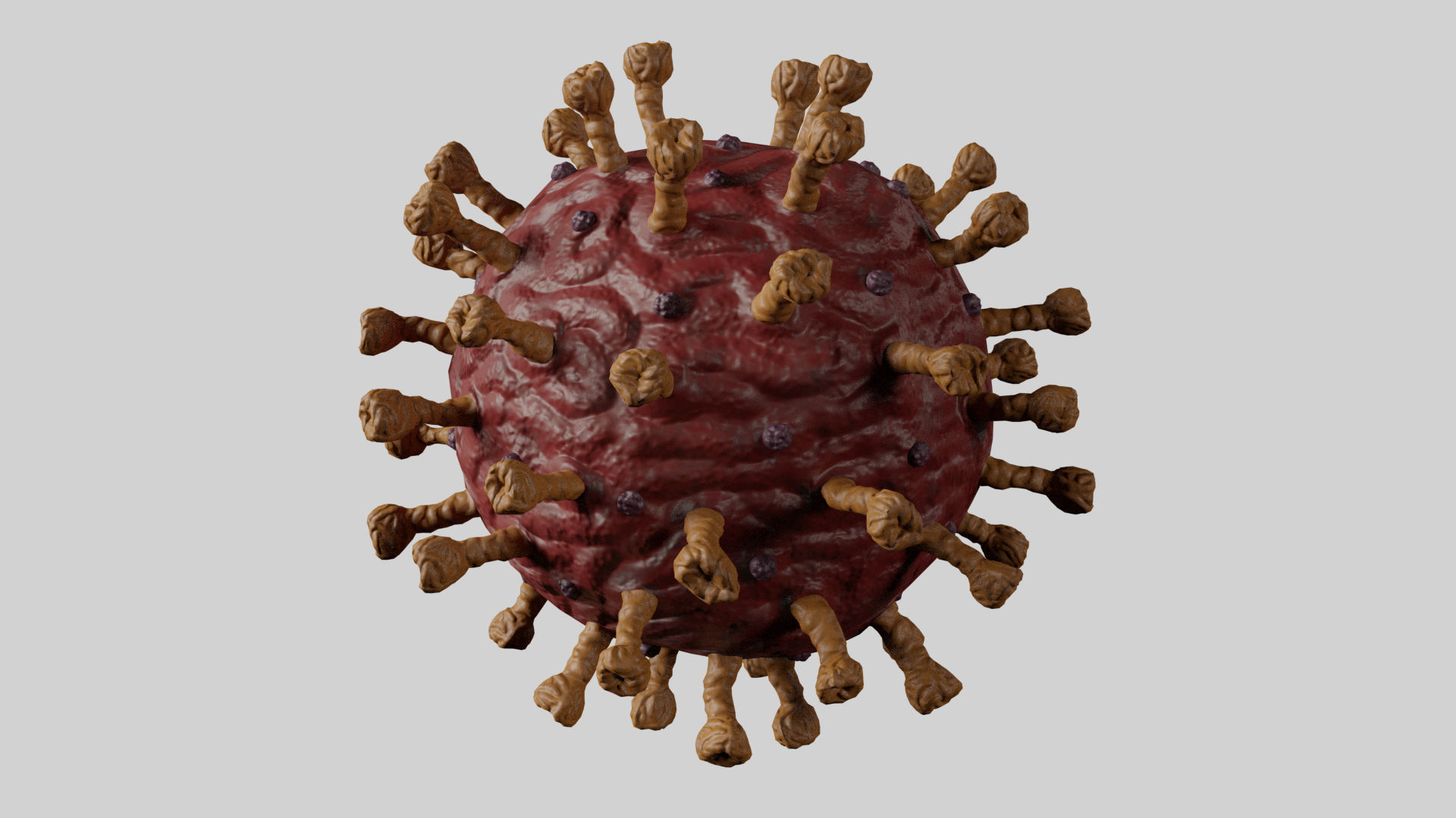 Realistic Corona Virus - Animated - Rigged - PBR Textures Low-poly 3D model_4