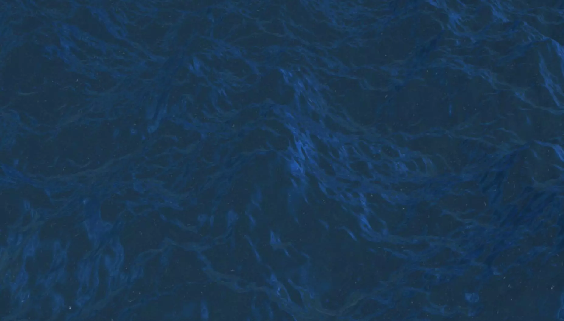 The rough sea at night Free 3D model_0