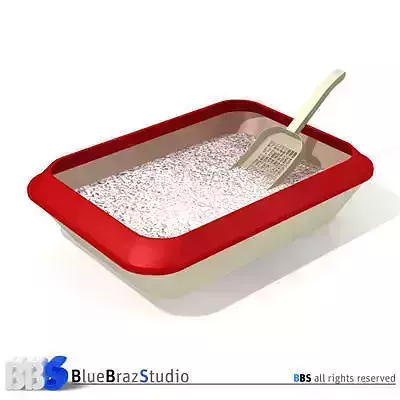 Litter cat box with scoop