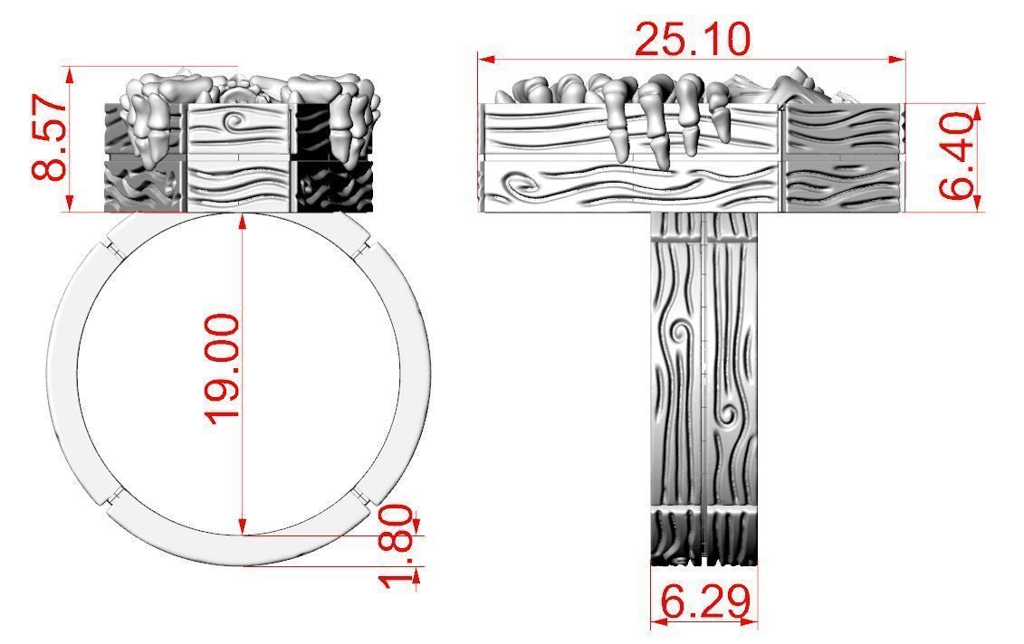 Skull coffin ring 3D print model_15