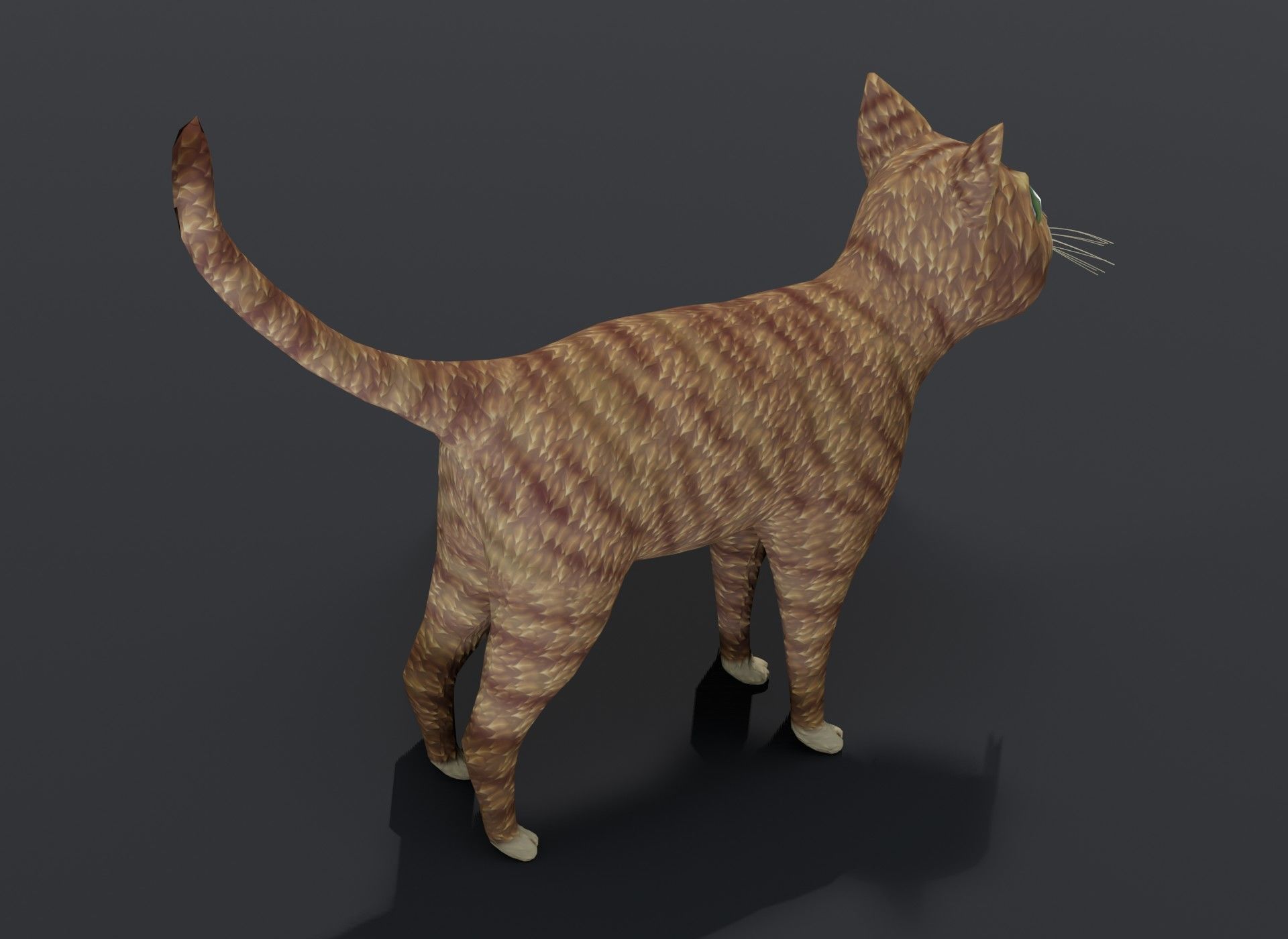 Cartoon Cat Orange 3D Model Low-poly 3D model_11