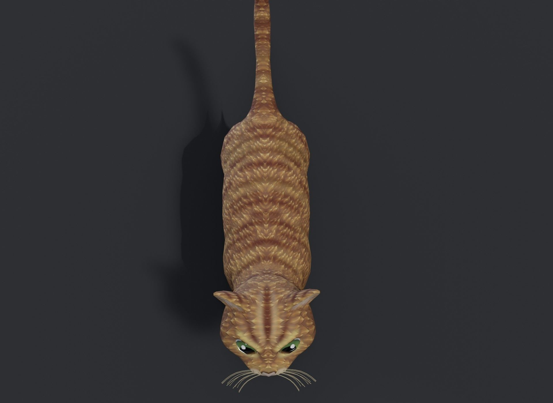 Cartoon Cat Orange 3D Model Low-poly 3D model_16
