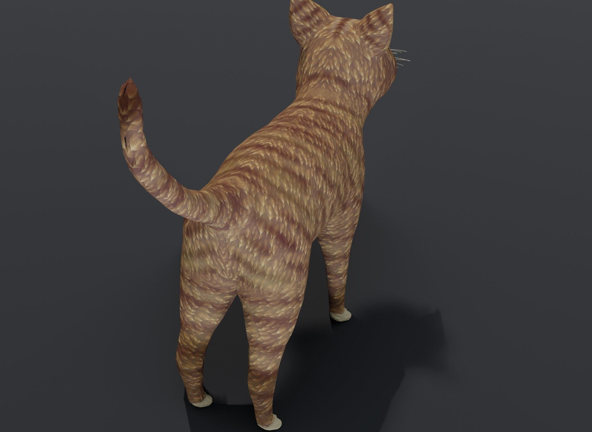 Cartoon Cat Orange 3D Model Low-poly 3D model_17