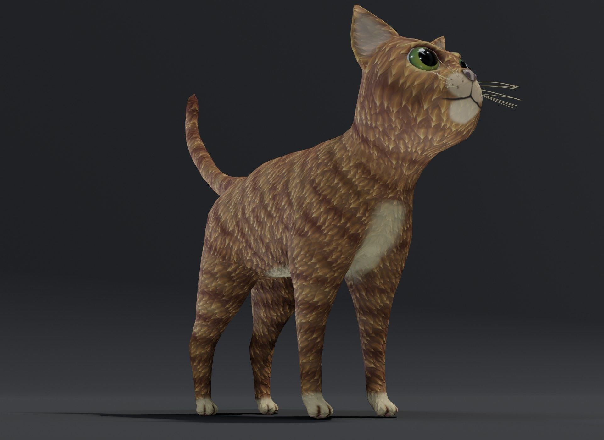 Cartoon Cat Orange 3D Model Low-poly 3D model_13