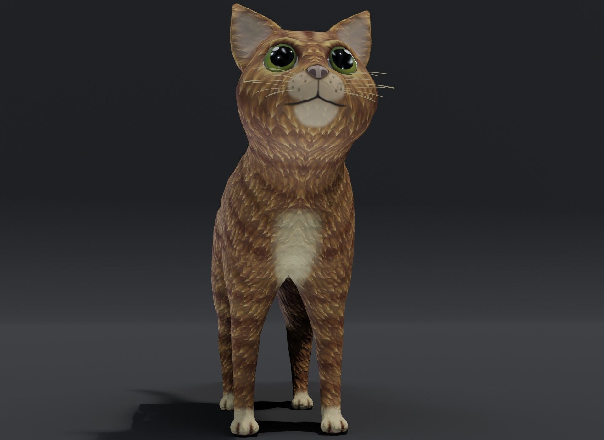Cartoon Cat Orange 3D Model Low-poly 3D model_10