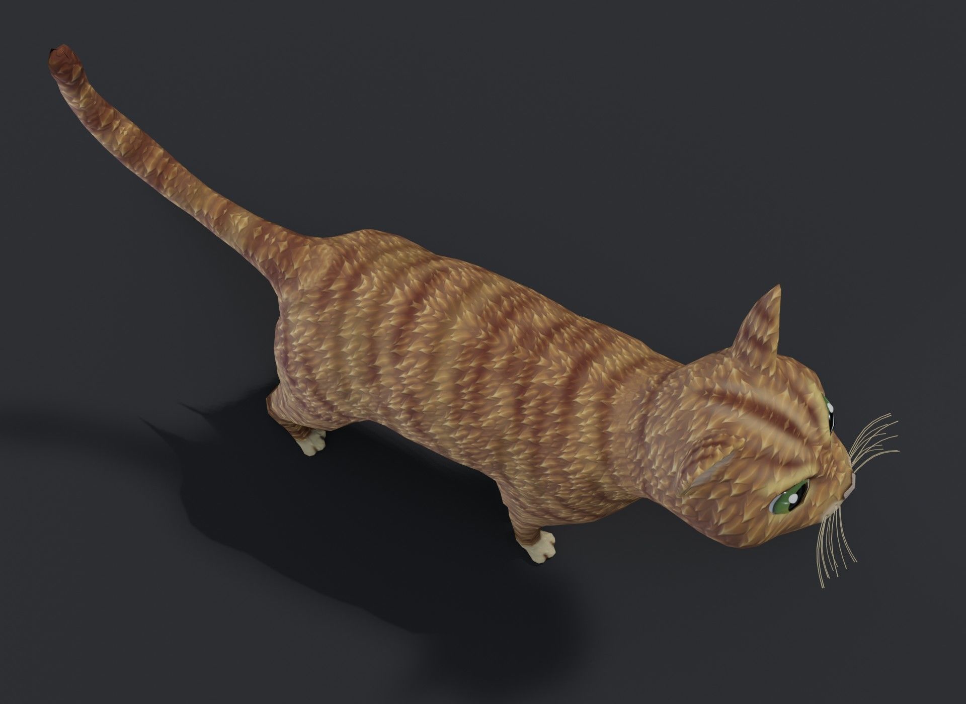 Cartoon Cat Orange 3D Model Low-poly 3D model_14
