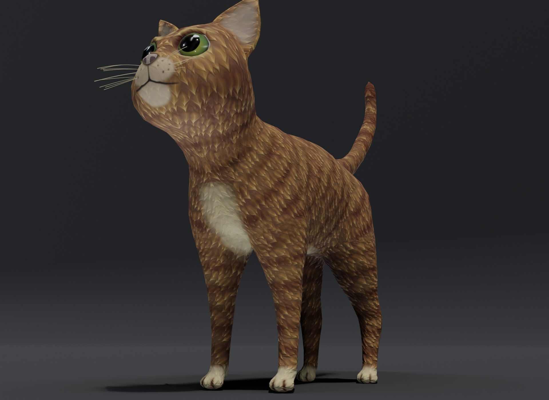 Cartoon Cat Orange 3D Model Low-poly 3D model_8