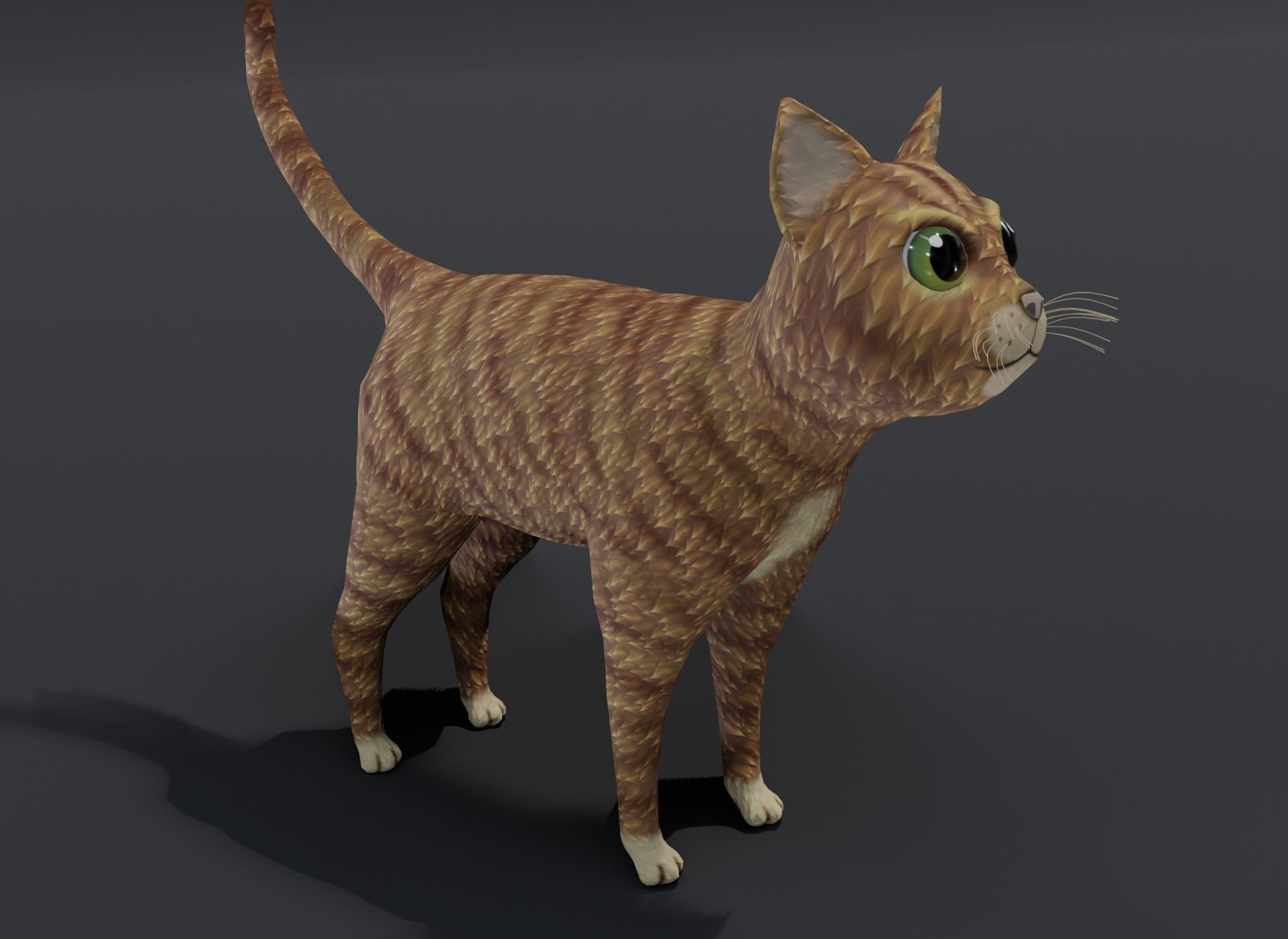 Cartoon Cat Orange 3D Model Low-poly 3D model_18