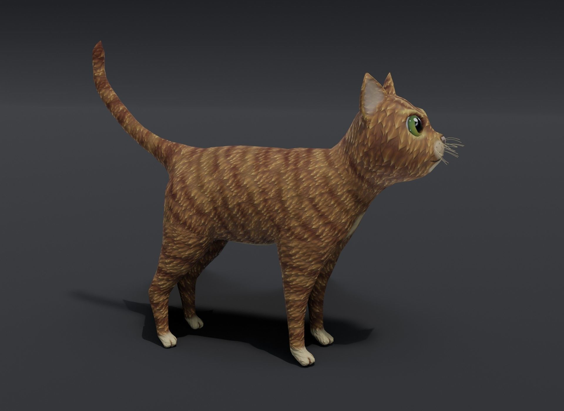 Cartoon Cat Orange 3D Model Low-poly 3D model_6