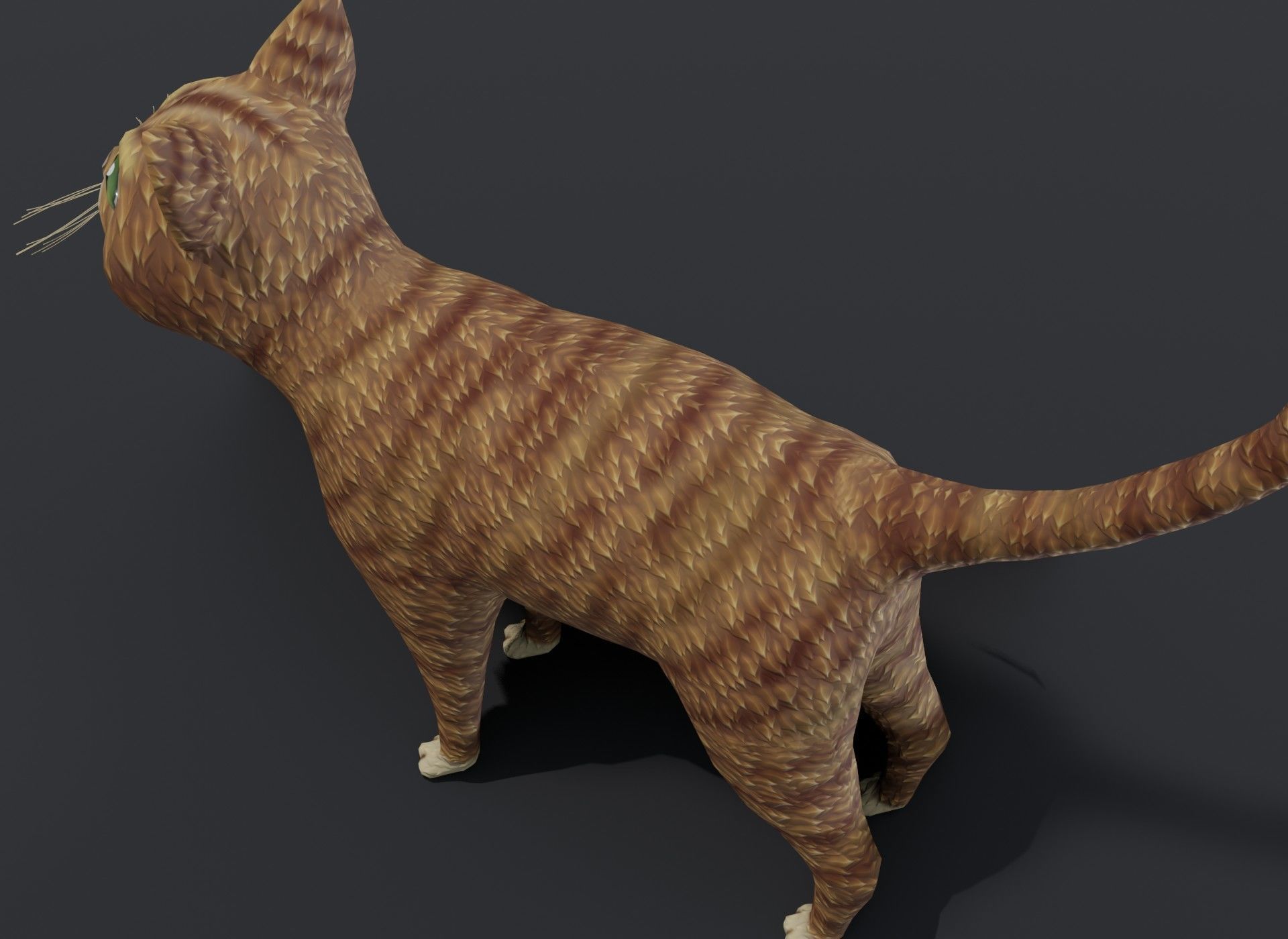 Cartoon Cat Orange 3D Model Low-poly 3D model_20