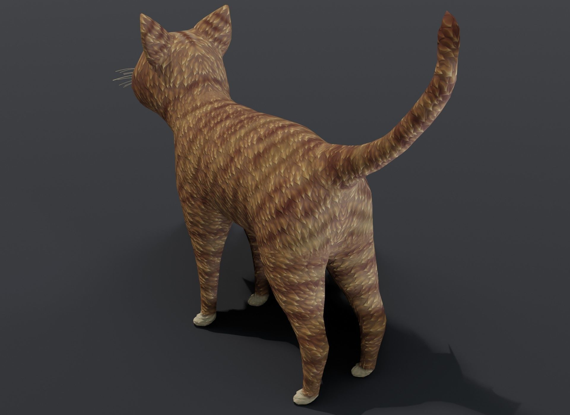 Cartoon Cat Orange 3D Model Low-poly 3D model_9