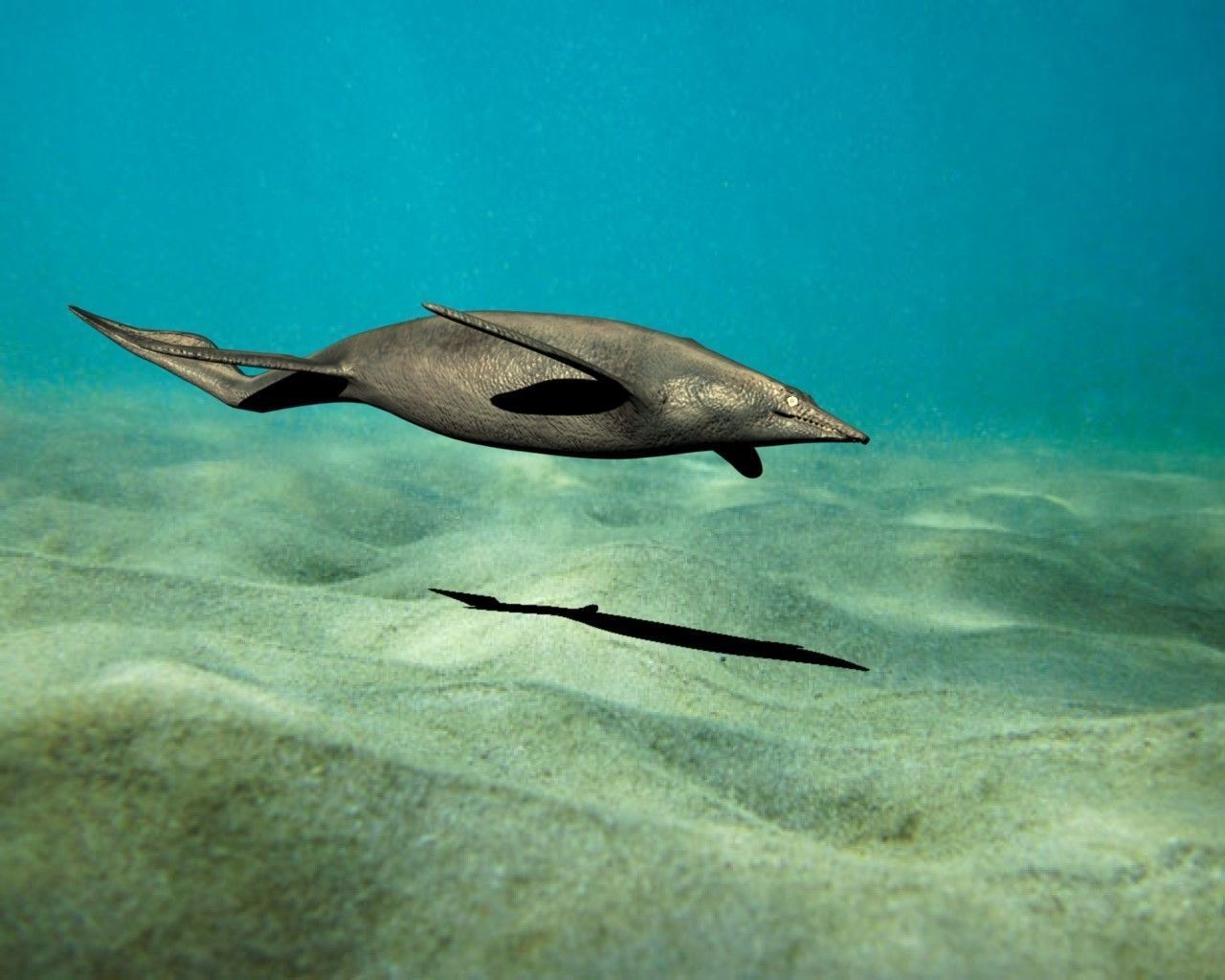 shastasaurus dolphin swimming in ocean 3D model_2