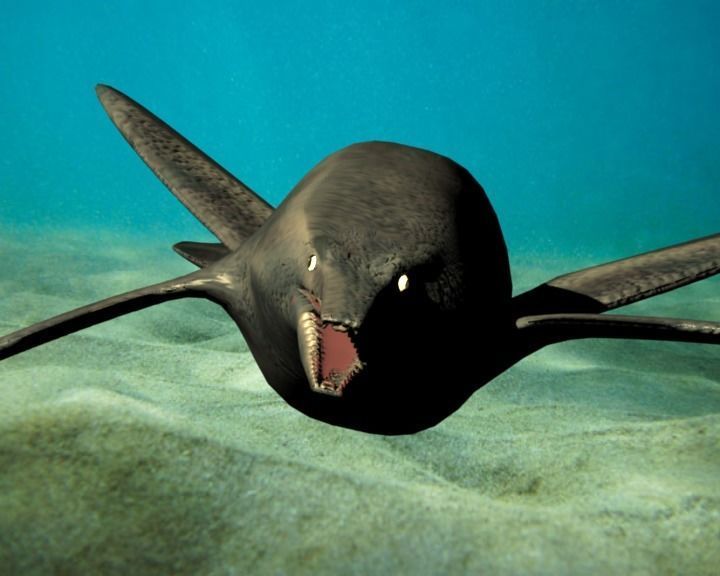 shastasaurus dolphin swimming in ocean 3D model_6