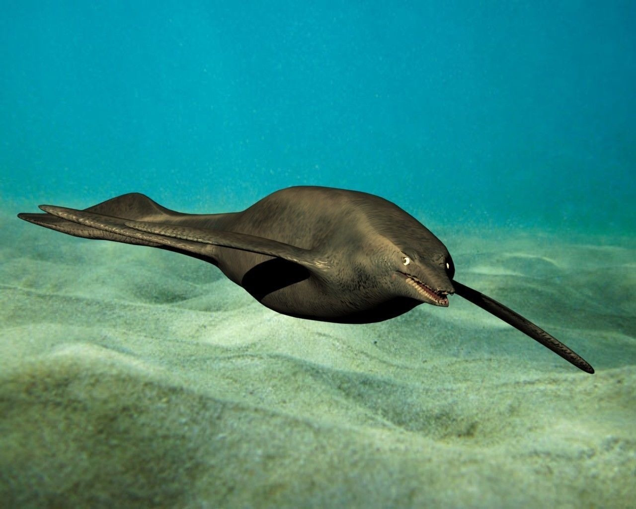 shastasaurus dolphin swimming in ocean 3D model_5