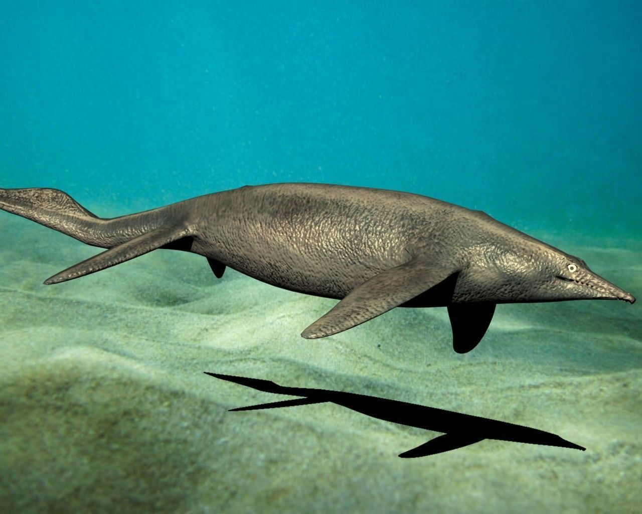 shastasaurus dolphin swimming in ocean 3D model_4