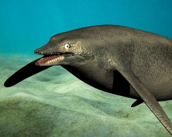 shastasaurus dolphin swimming in ocean 3D model_7