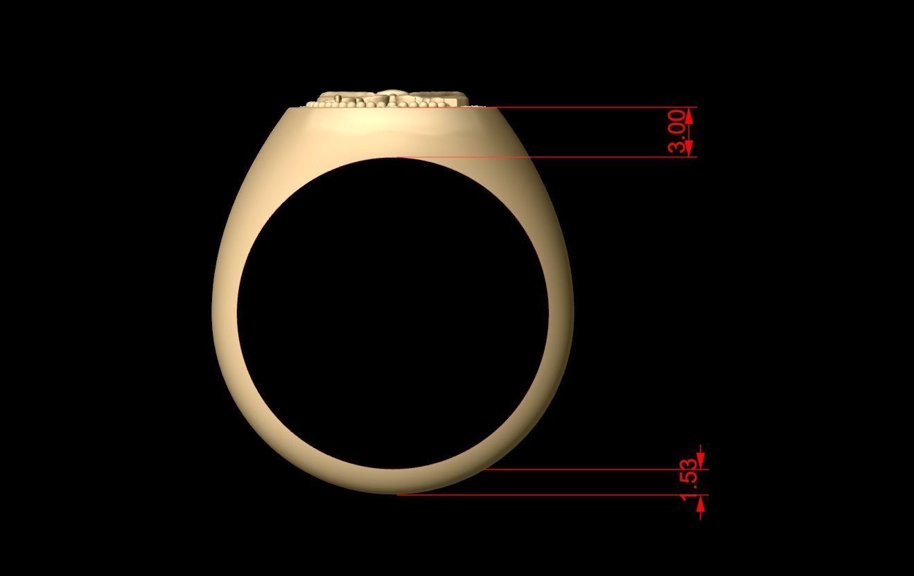 Bee Signet Hollow Rings in EU Size 3D print model_6