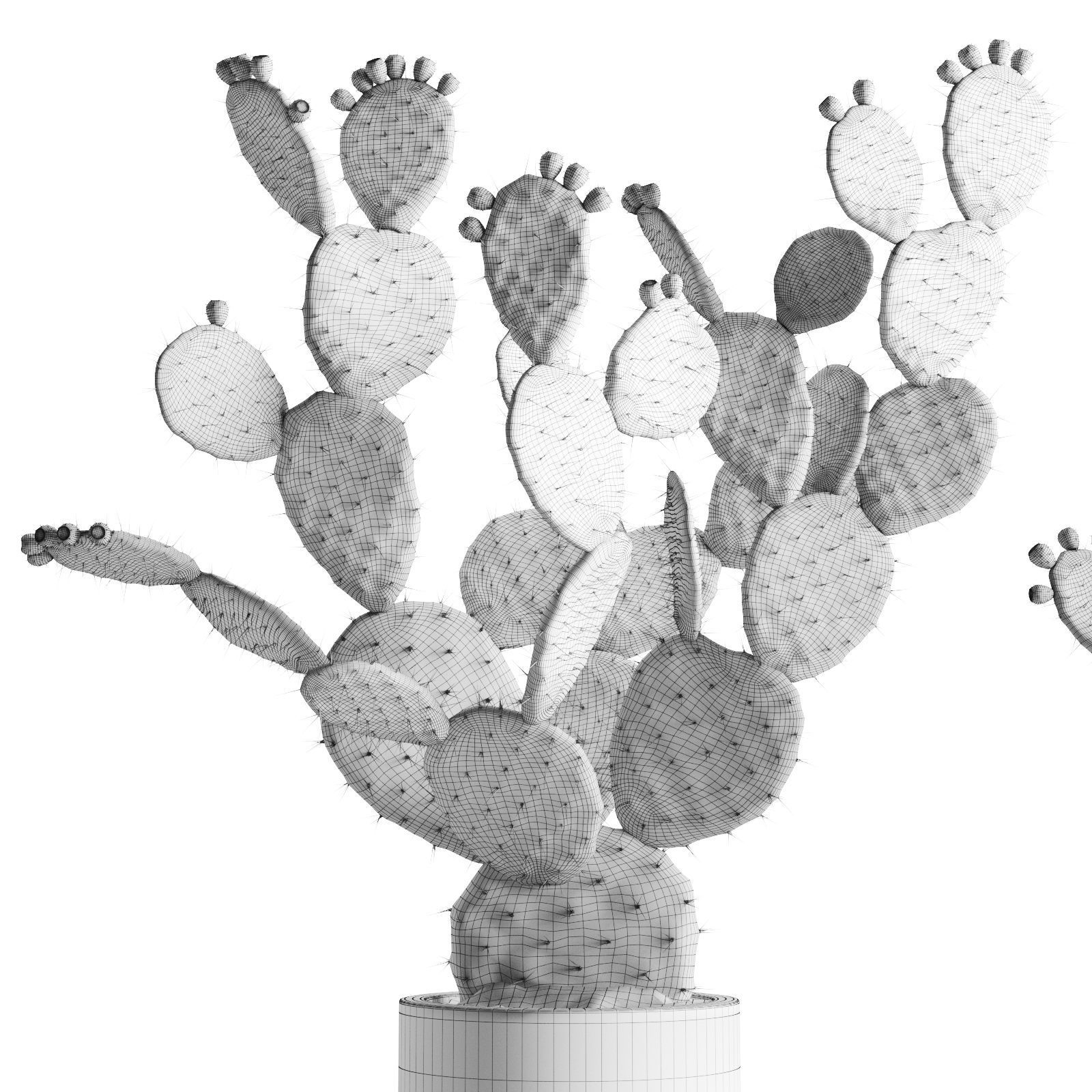 Opuntia In Concrete Planters  Cactus Set 3D model_9