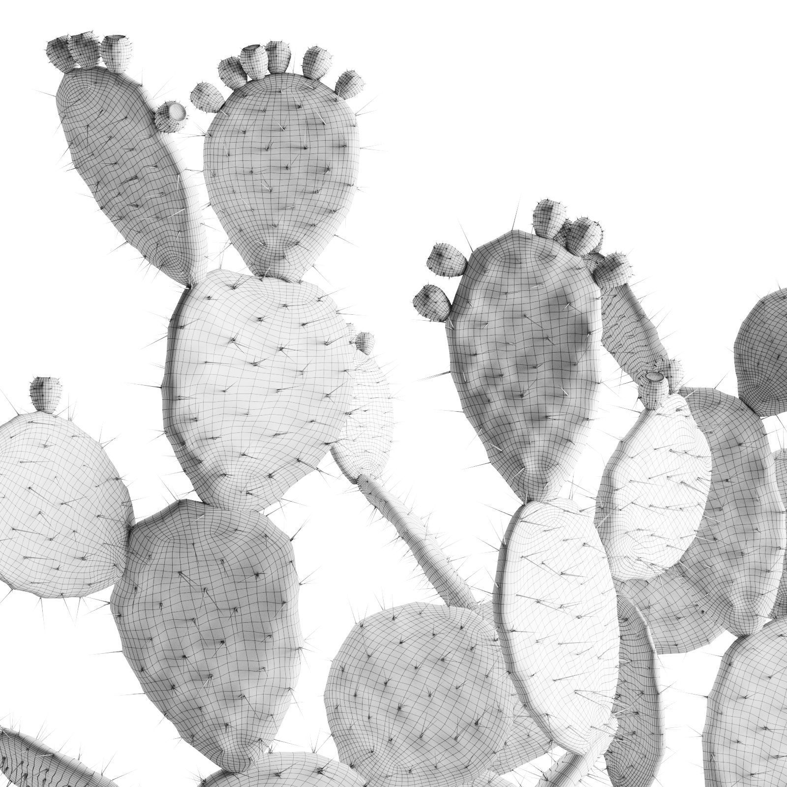 Opuntia In Concrete Planters  Cactus Set 3D model_7