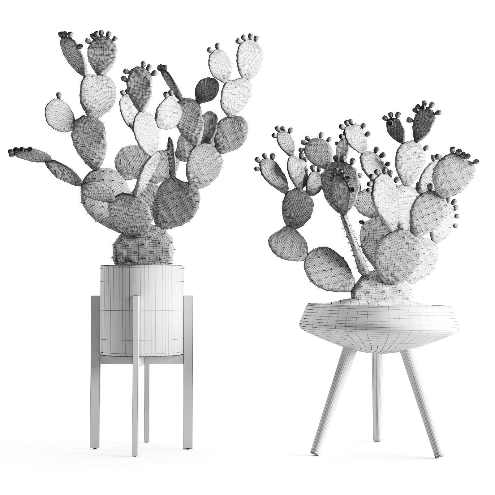 Opuntia In Concrete Planters  Cactus Set 3D model_6