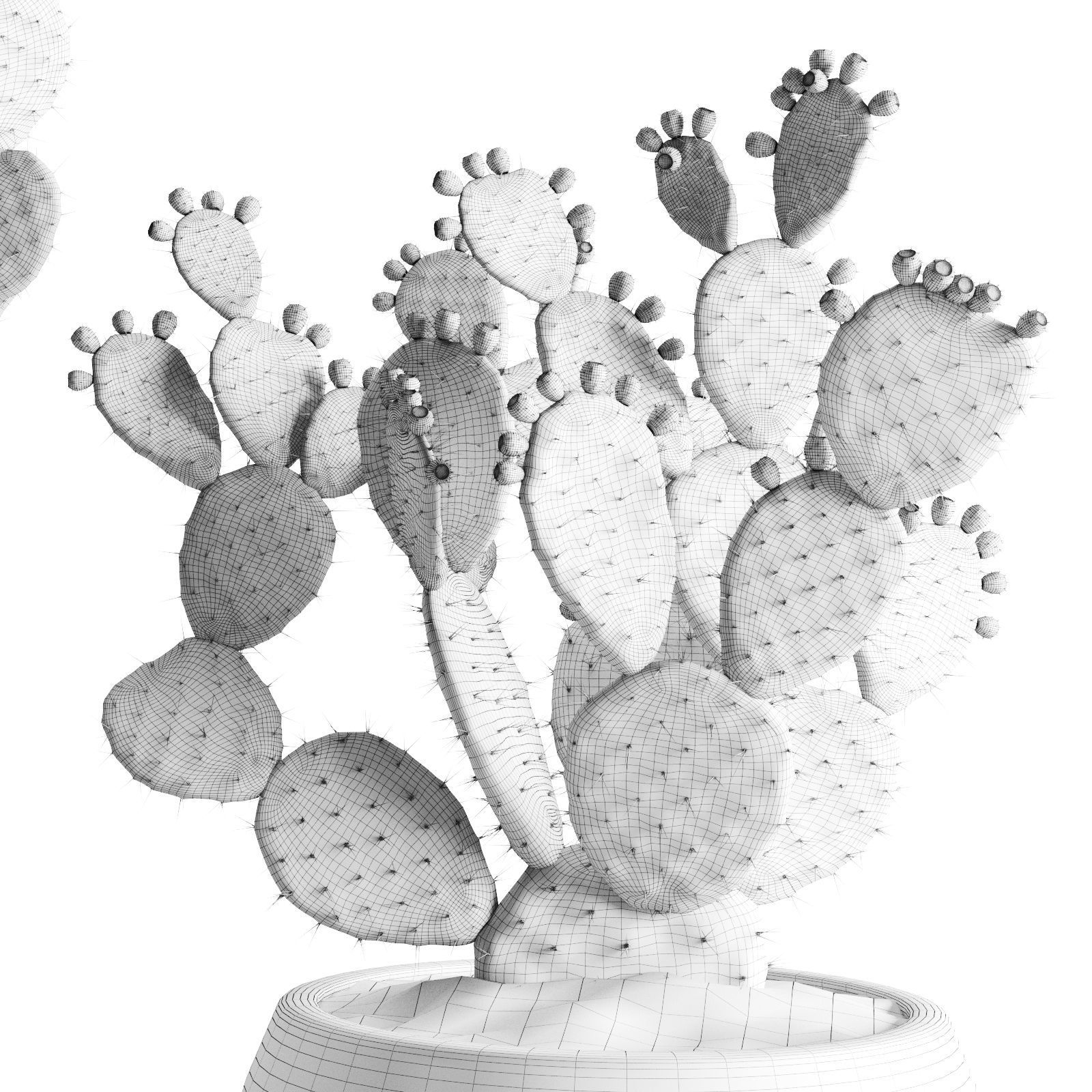 Opuntia In Concrete Planters  Cactus Set 3D model_8