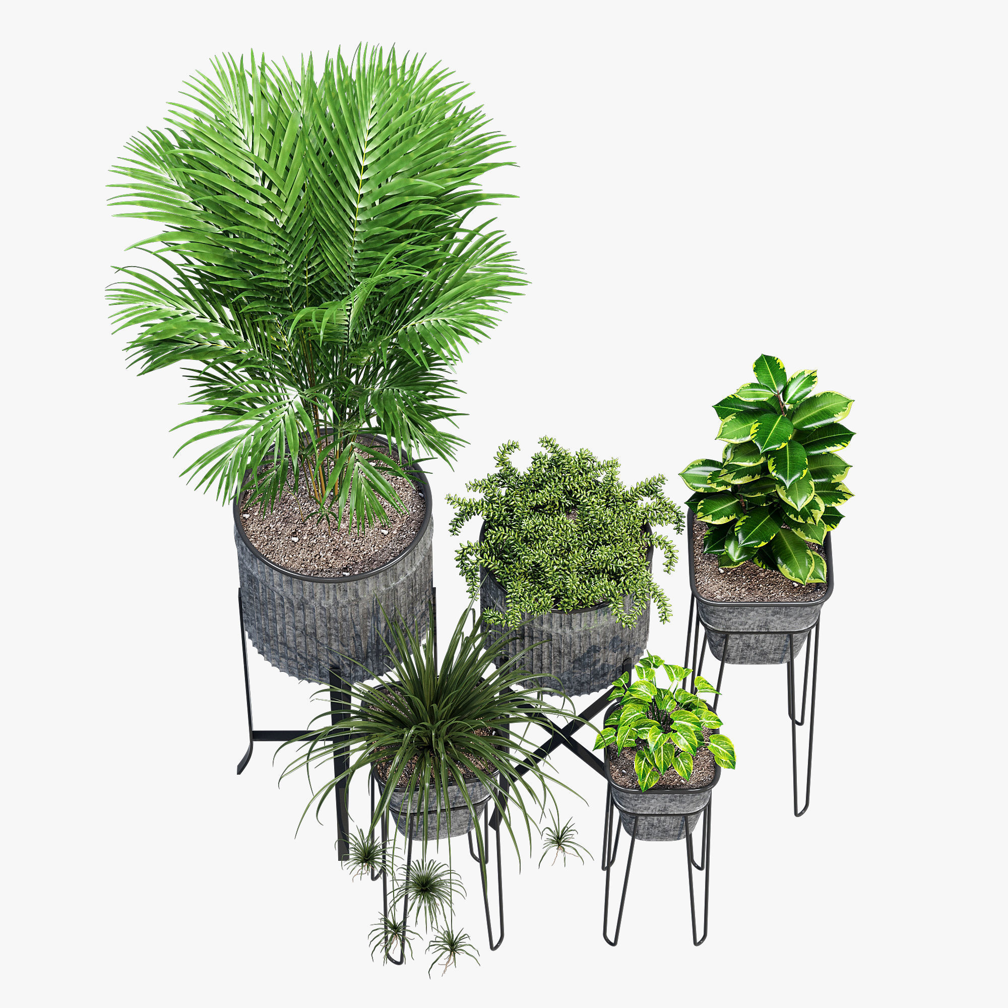 Verville brunelle 3D model_4