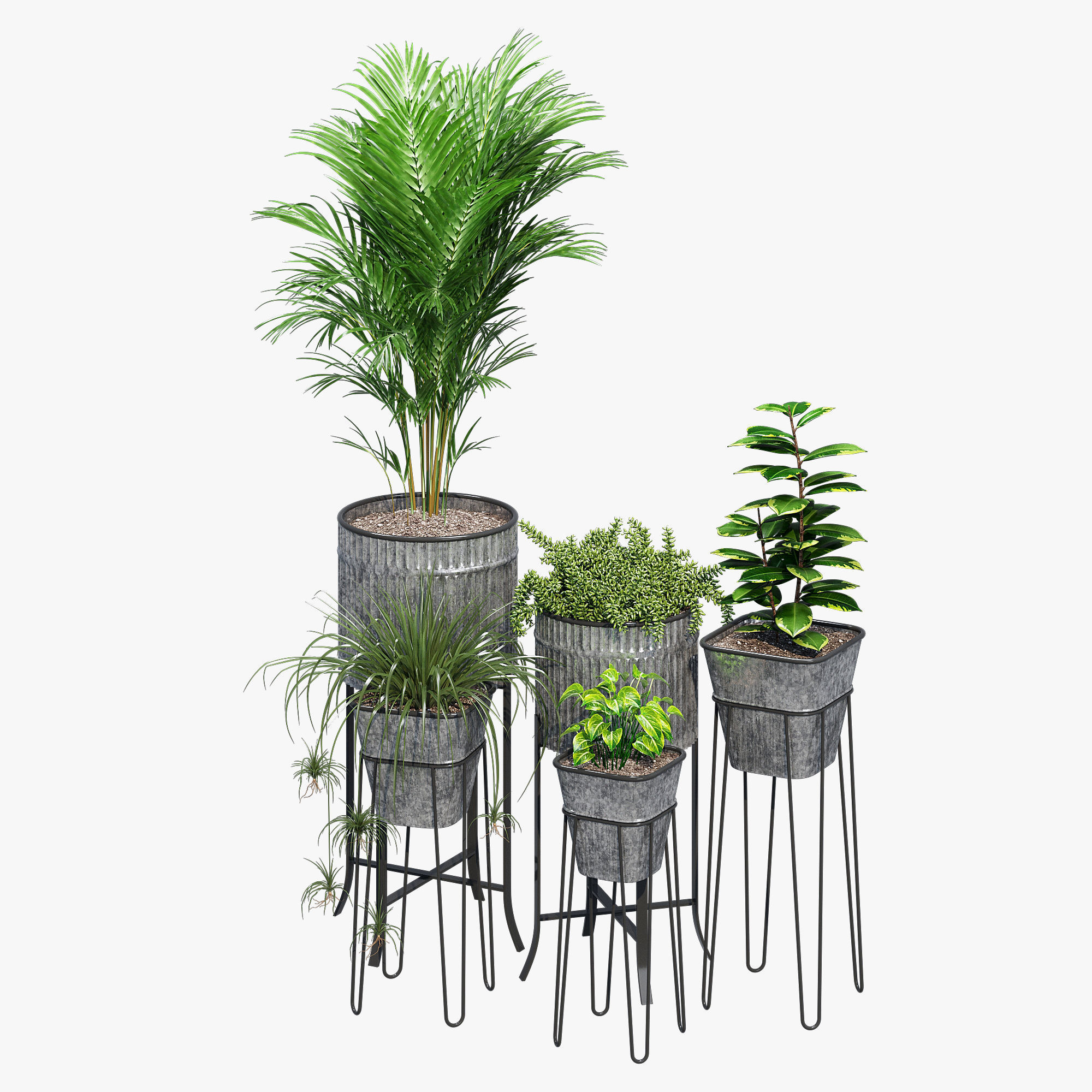 Verville brunelle 3D model_3