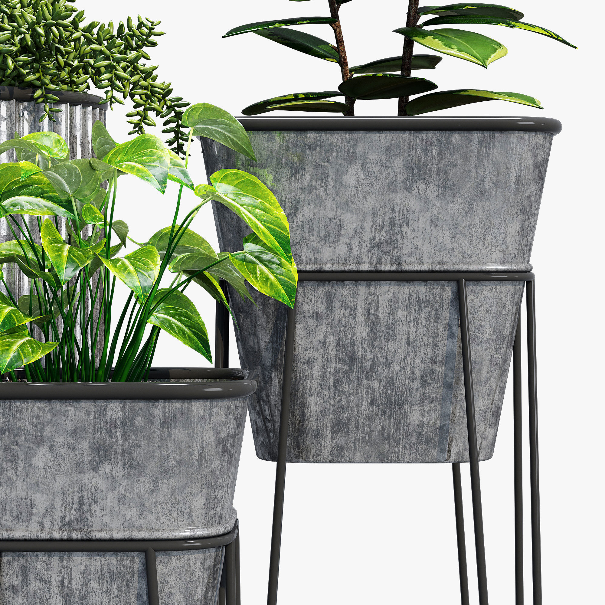 Verville brunelle 3D model_6