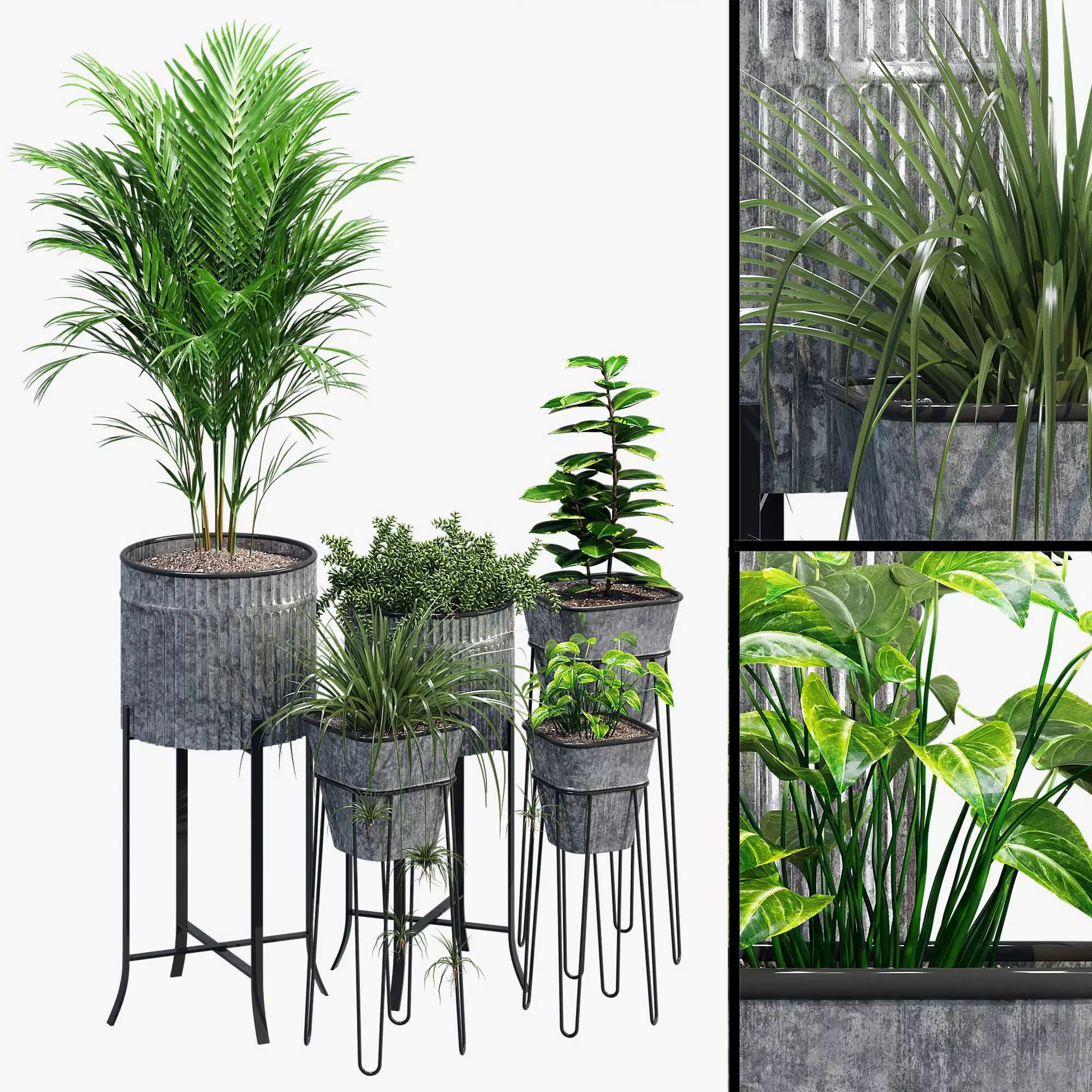 Verville brunelle 3D model_0