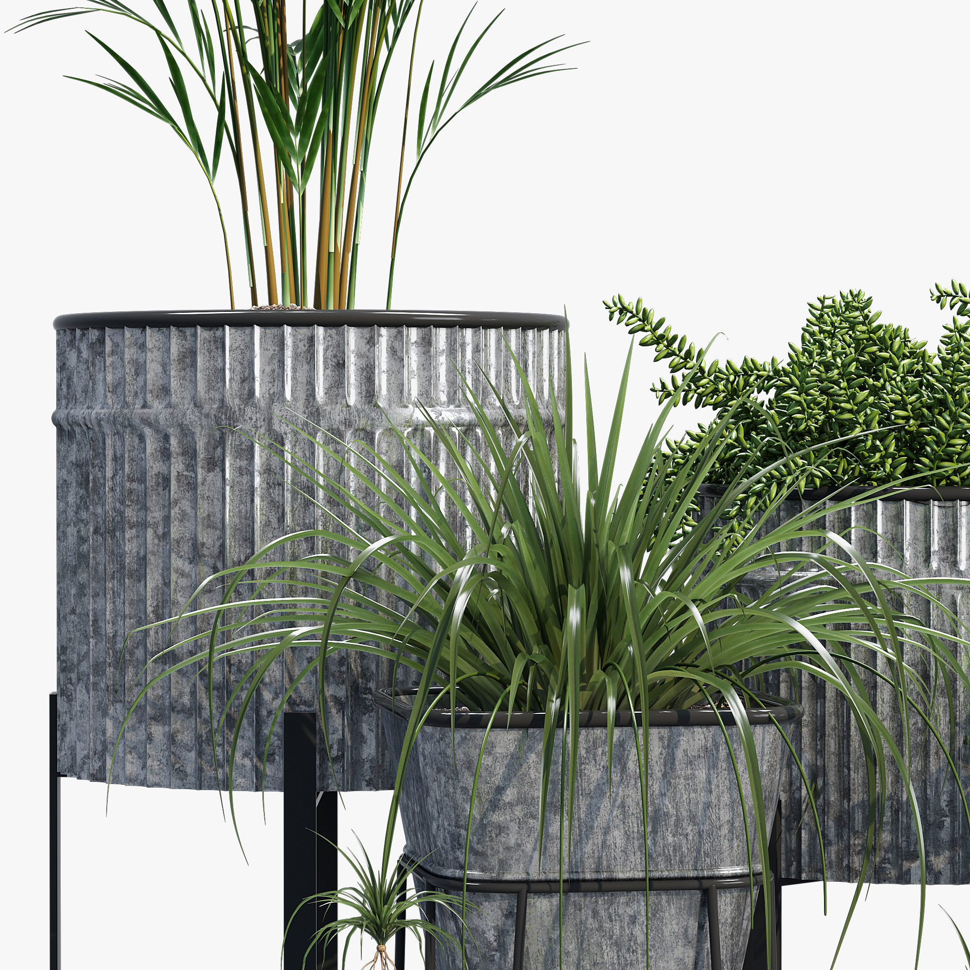 Verville brunelle 3D model_5