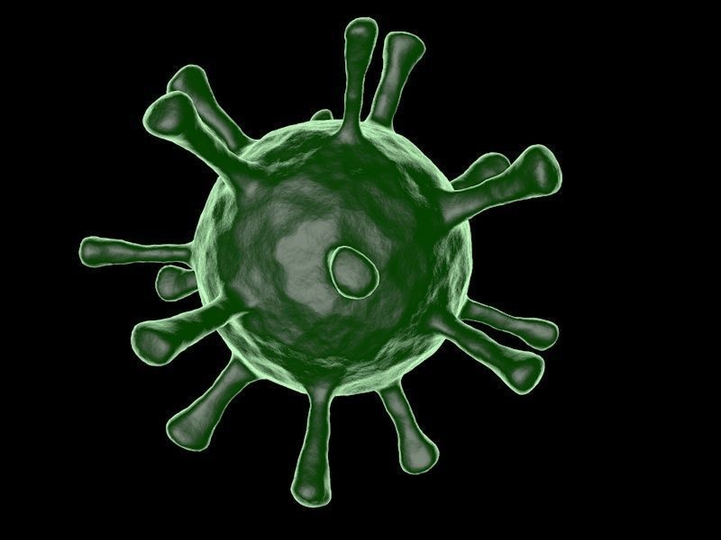 COVID-19 Coronavirus and a set of other viruses 3D model_3