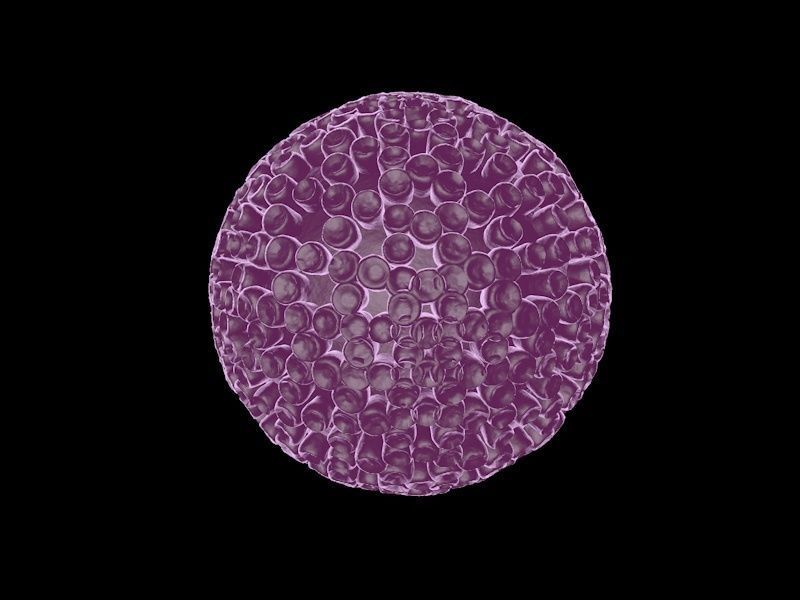 COVID-19 Coronavirus and a set of other viruses 3D model_6