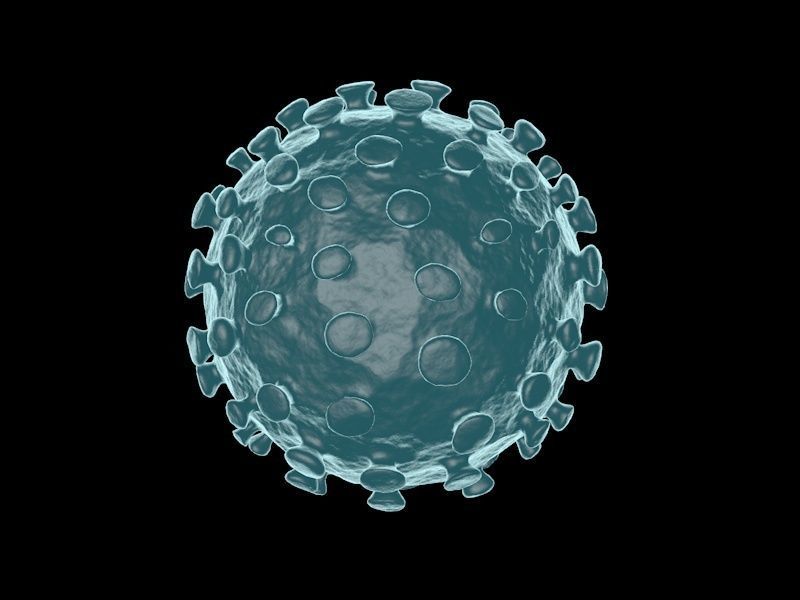 COVID-19 Coronavirus and a set of other viruses 3D model_4